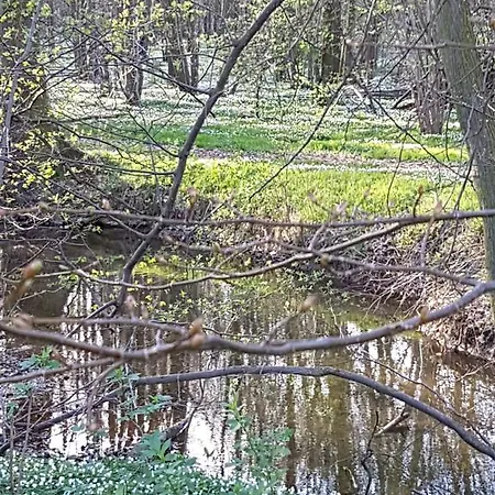 Haus Lisbeth Malschwitz